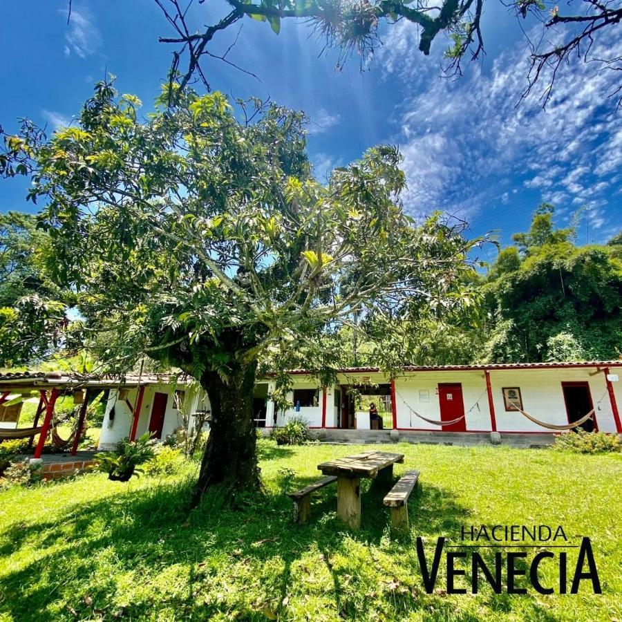 Hacienda Venecia Hostel San Peregrino エクステリア 写真