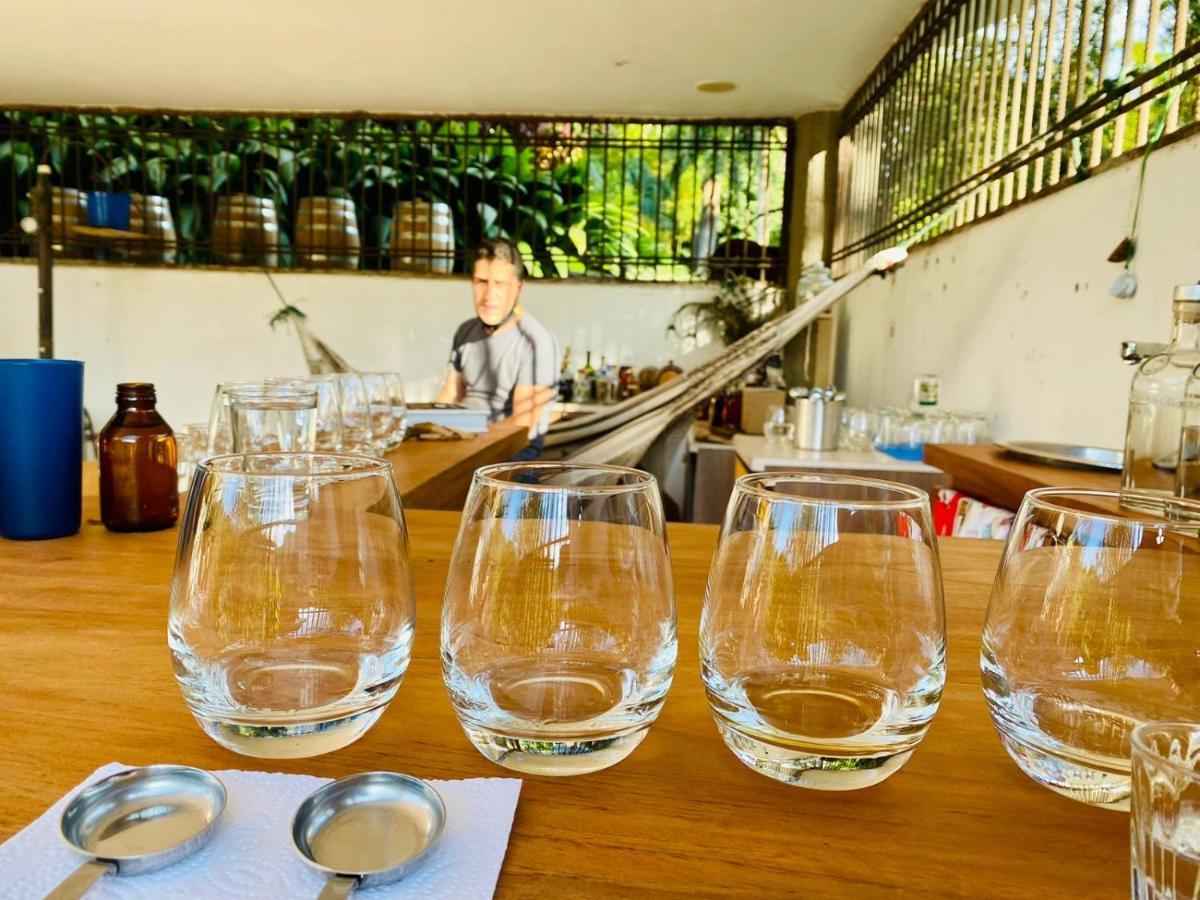 Hacienda Venecia Hostel San Peregrino エクステリア 写真